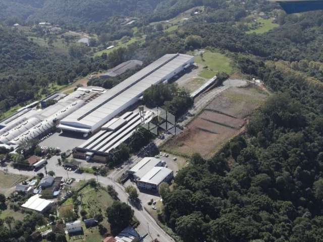 Terreno industria