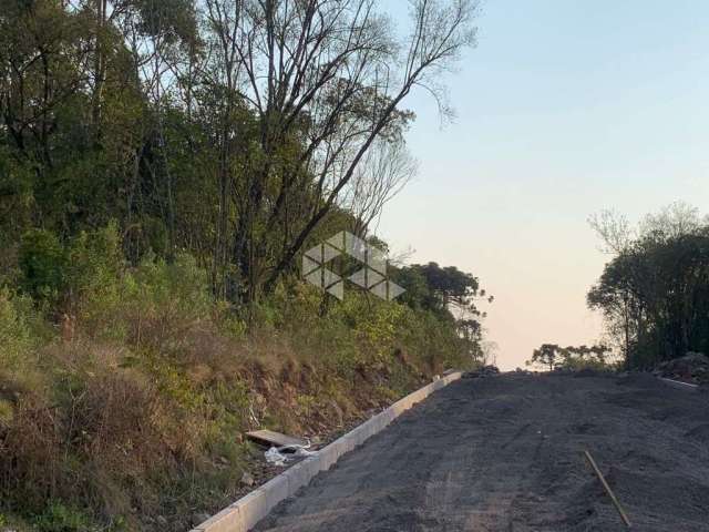 Área de terras em perímetro urbano*