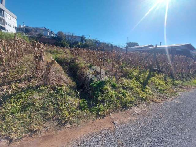 Terreno no bairro Alfândega!