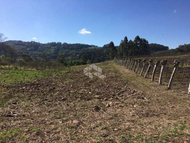 Área de 7,2Ha em Coronel Pilar!