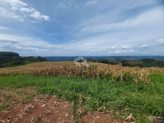 Área de terras em Coronel Pilar,  com 12,4ha