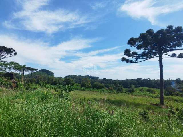 Àrea de terra em Marcorama/Garibaldi!