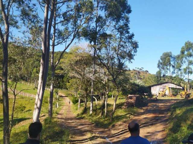 Sítio / chácara com 2 hectares , a 6 km da BR 101 e Paulo Lopes