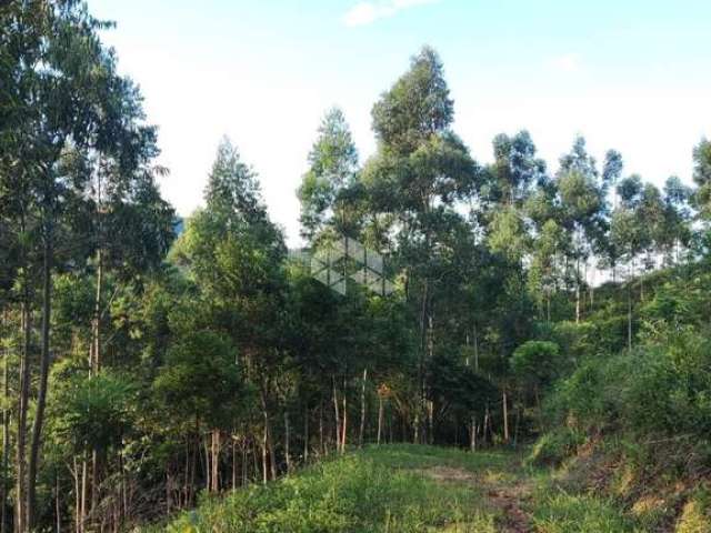 Sítio / chácara com dois hectare , a 4 km da BR 101.