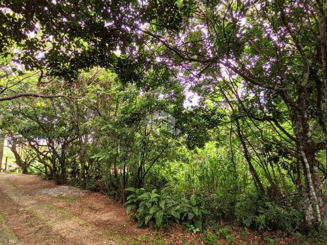 Terreno á venda em Garopaba com vista para o mar, serra e lagoa no Morro da Ferrugem.