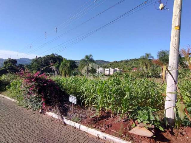 Terreno bairro Boa Vista - Lindolfo Collor