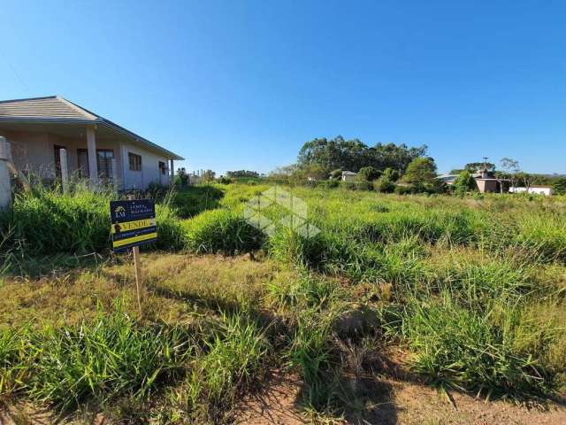 Terreno escriturado em São José do Hortêncio (Campestre)