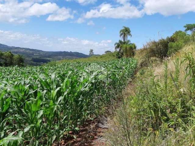 Excelente área com vista panorâmica