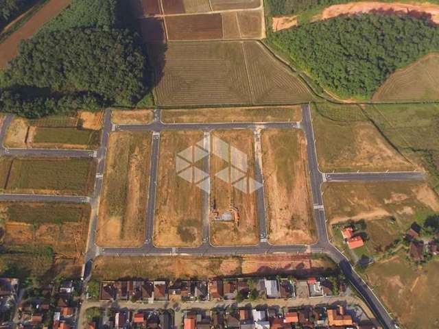 Lotes no bairro Barro Branco em Guaramirim.