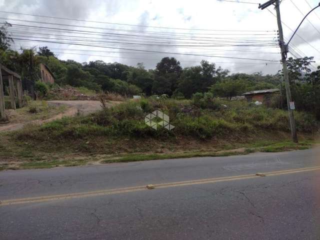 Terreno à venda Avenida Professor Oscar Pereira, Cascata - Porto Alegre