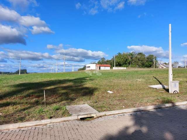 Terreno plano loteamento parque das palmeiras