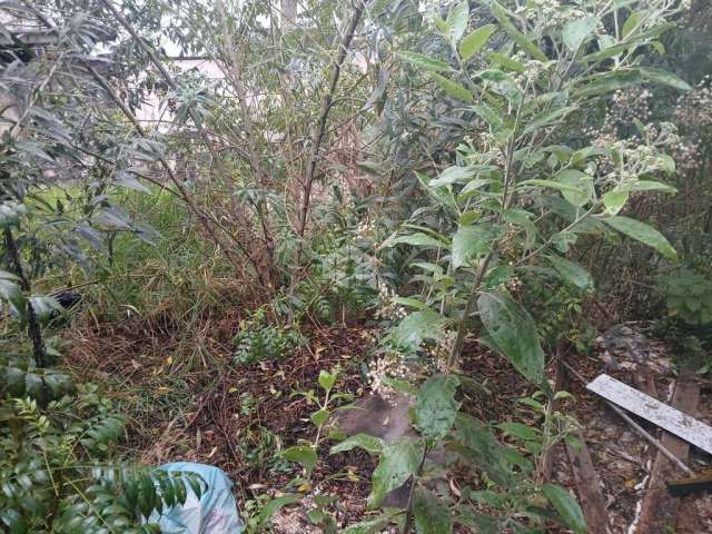 Terreno fechado a venda na Av. Santa Inês