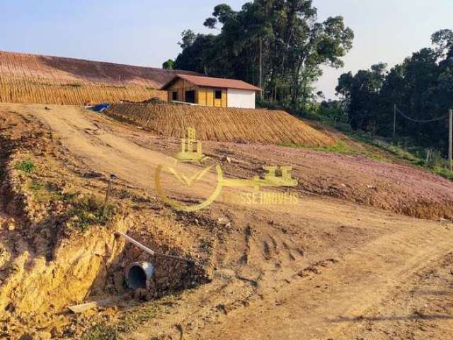 Chácara / sítio com 2 quartos à venda na Zona Rural, Luiz Alves  por R$ 300.000