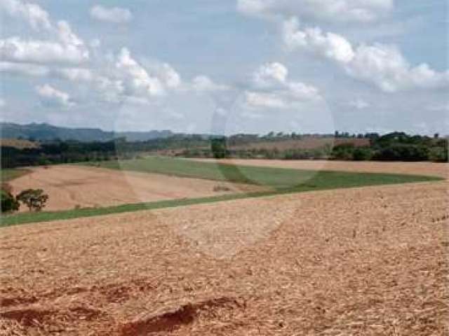 Rural com 1 quartos à venda em Área Rural De Ribeirão Preto - SP