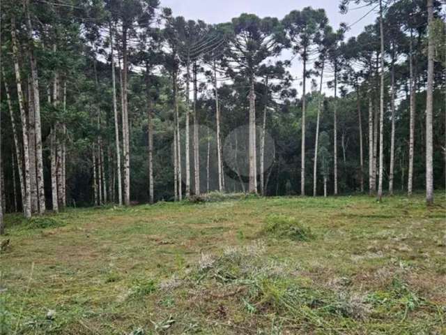 Chácara à venda em Jardim Paulista - PR