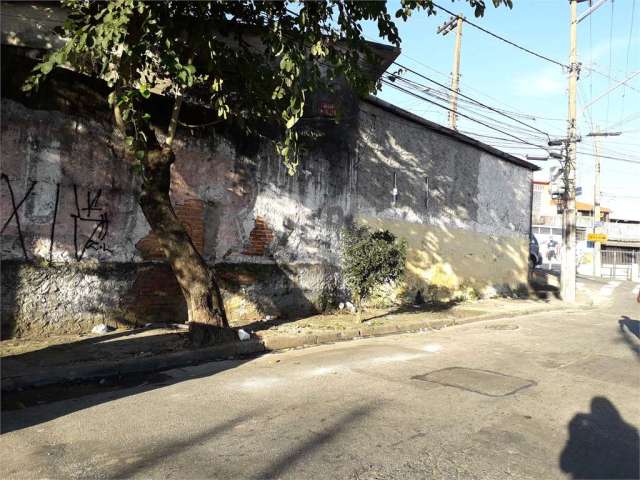 Terreno à venda em Vila Celeste - SP