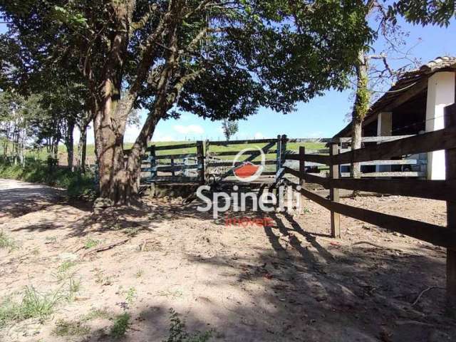 Fazenda com 2 dormitórios à venda, 3678400 m² por R$ 8.000.000,00 - Passa Vinte - Cruzeiro/SP