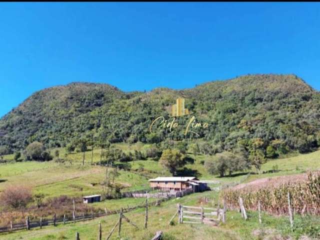 Vendo Sítio/chácara, 11 Hectares em Alfredo Wagner.