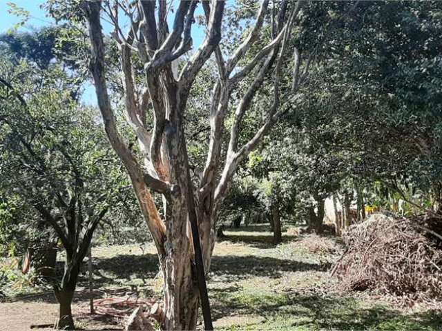 Terreno a venda na vila padre bento