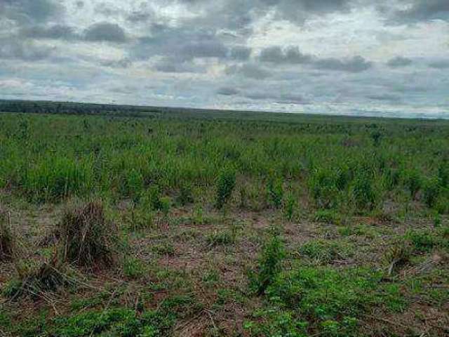 FAZENDA (8.880 hectares). ALTO POTENCIAL PARA AGROPECUÁRIA E LAVOURA