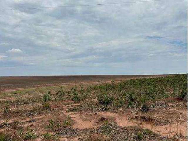 FAZENDA (3.120 hectares). A 130 KM DE TANGARÁ DA SERRA. OPORTUNIDADE DE NEGÓCIO