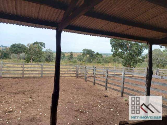 FAZENDA (324 Hectares), EM VARGEM GRANDE MT