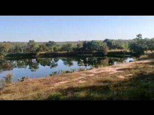 LINDA FAZENDA (324 hectares), OPORTUNIDADE PARA O SEU AGRONEGÓCIO