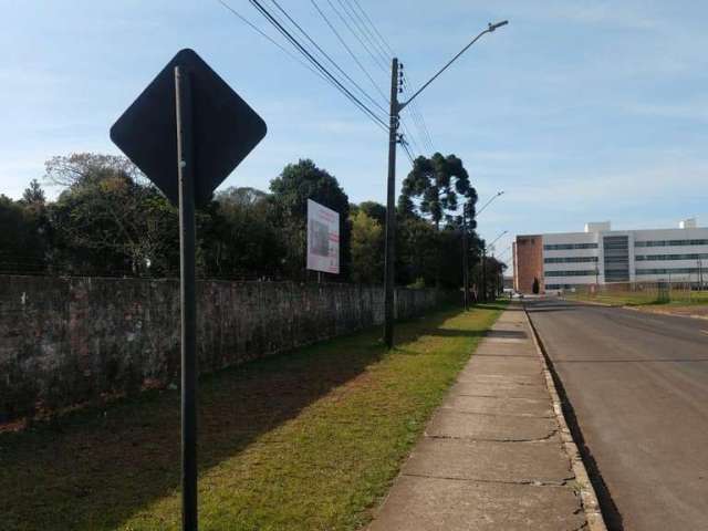 Terreno para Venda em Guarapuava, Trianon