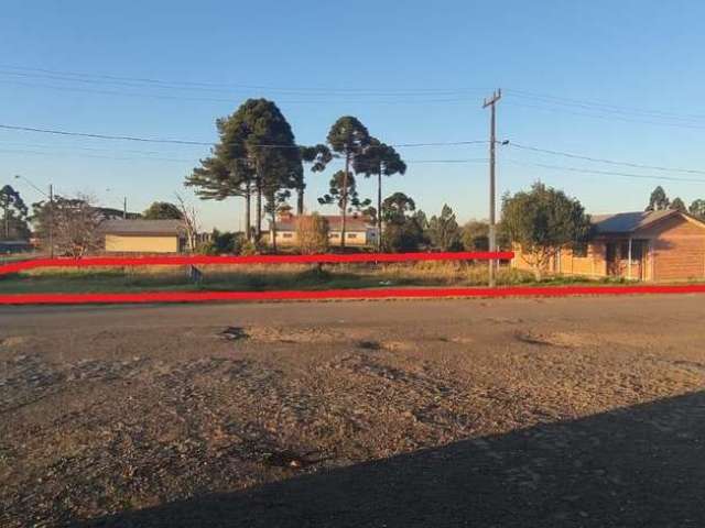 Terreno para Venda em Guarapuava, Guara