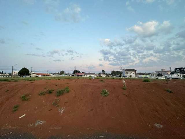 Terreno para Venda em Guarapuava, Trianon