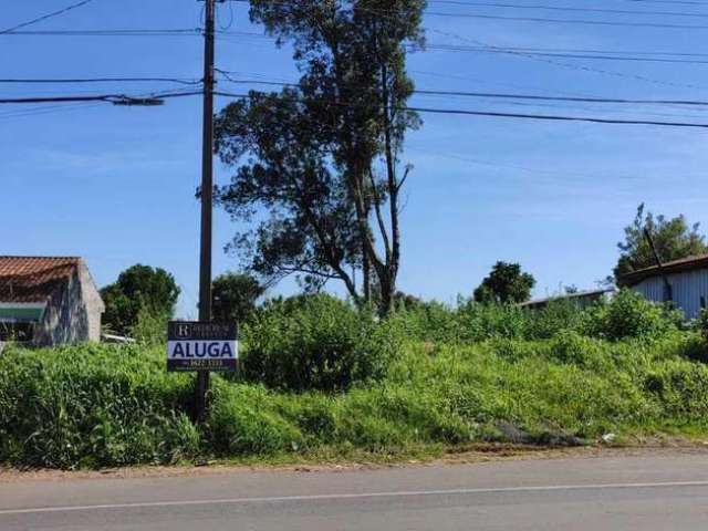 Terreno para Locação em Guarapuava, Vila Bela