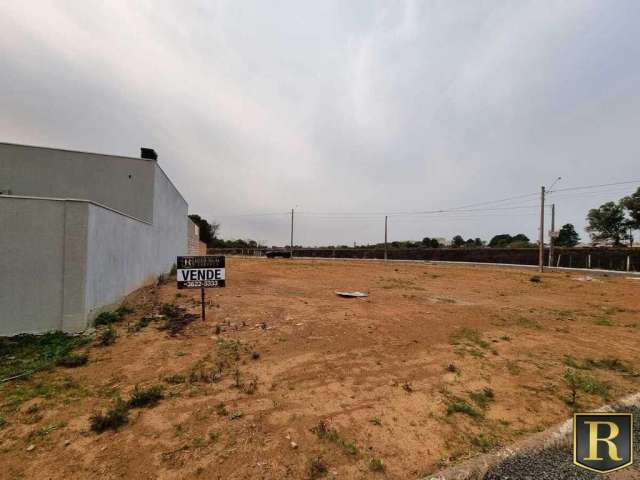 Terreno para Venda em Guarapuava, Cascavel