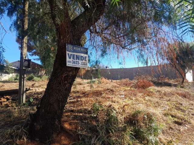 Terreno para Venda em Guarapuava, Industrial