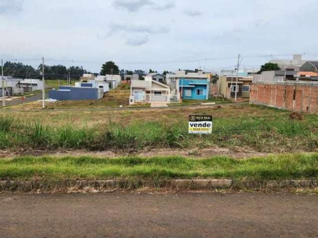 Terreno para Venda em Guarapuava, Alto Cascavel