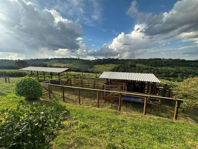 Chácara para Venda em Guarapuava, Guairacá