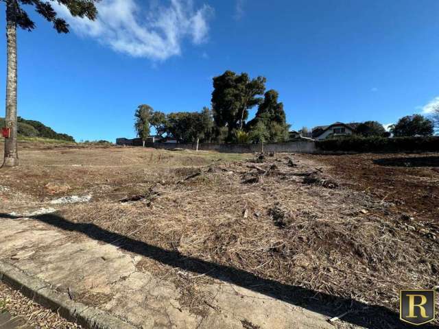 Terreno para Venda em Guarapuava, Boqueirão