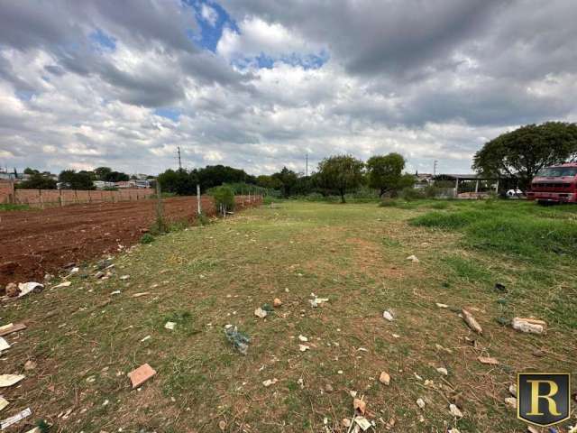 Terreno para Venda em Guarapuava, Conradinho