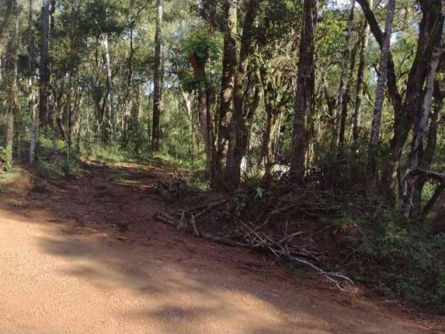 Chácara para Venda em Guarapuava, Jordão