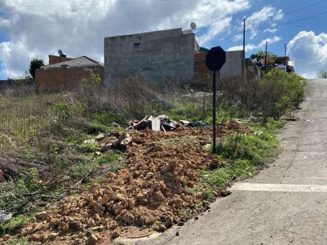 Terreno para Venda em Guarapuava, Morro Alto