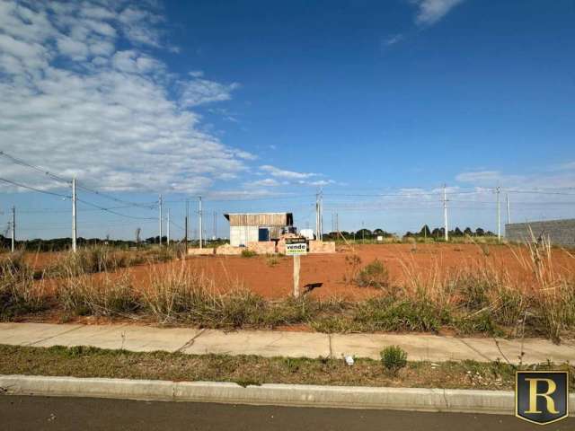 Terreno para Venda em Guarapuava, Morro Alto