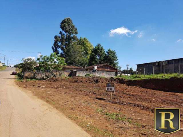 Terreno para Venda em Guarapuava, Morro Alto