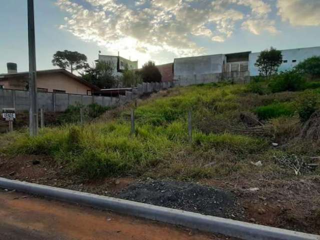 Terreno para Venda em Guarapuava, Conradinho