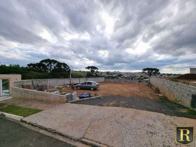 Terreno para Venda em Guarapuava, Morro Alto