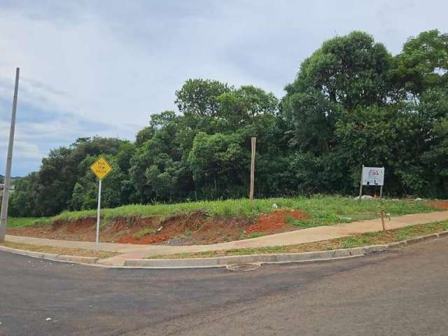 Terreno para Venda em Guarapuava, Vila Bela