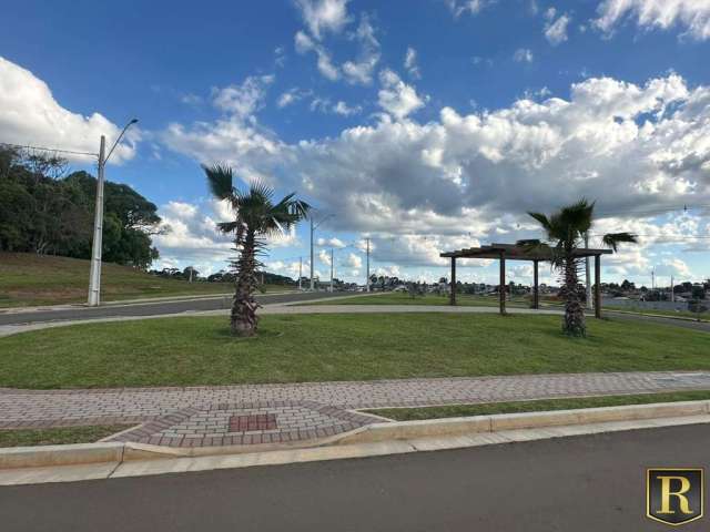 Terreno para Venda em Guarapuava, Morro Alto