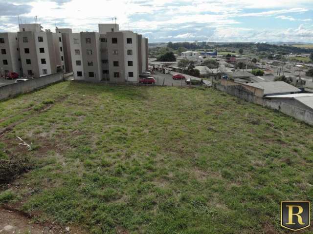 Terreno para Venda em Guarapuava, São Cristovão