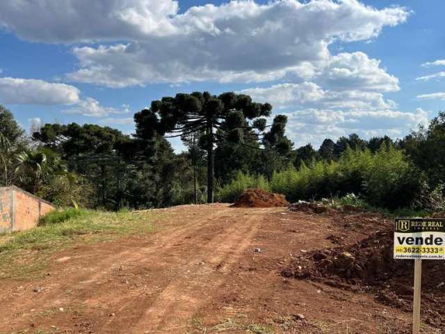 Terreno para Venda em Guarapuava, Santana