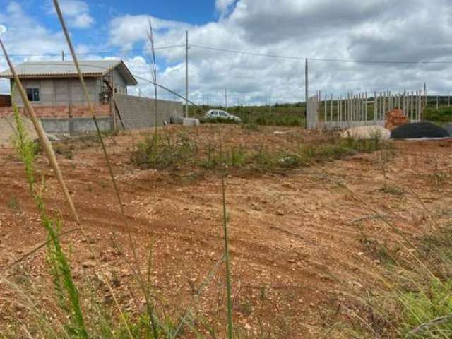 Terreno para Venda em Guarapuava, Industrial