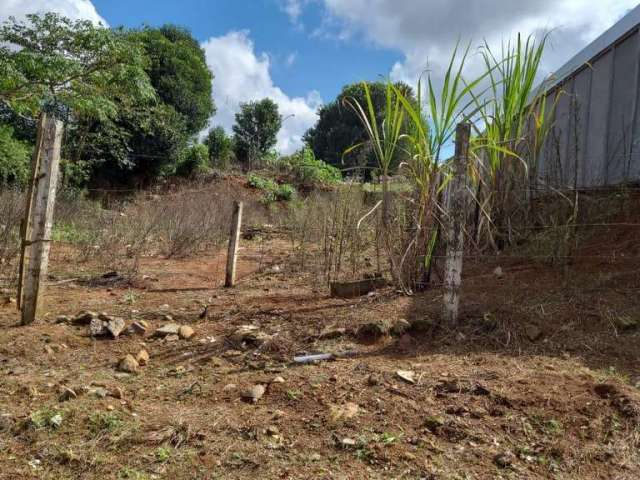 Terreno para Venda em Guarapuava, Morro Alto