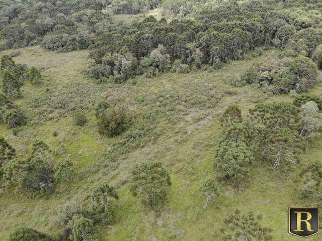 Chácara para Venda em Guarapuava, Guairacá